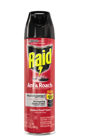 RAID ANT & ROACH 17.5oz